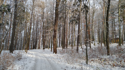 Kościuszko Park, Jelenia Góra